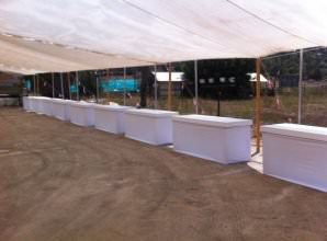 מזנונים עטופים בבד איכותי לבן