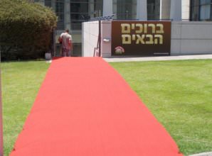 פריסת שטיח לבד במגוון צבעים