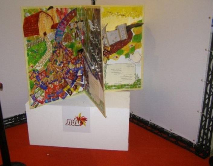 קוביית עץ לתצוגה