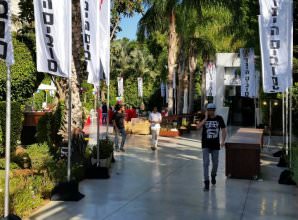 תרנים בתוספת עיגון עי משקולת עצמאית