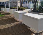 בוצ'רים לבנים