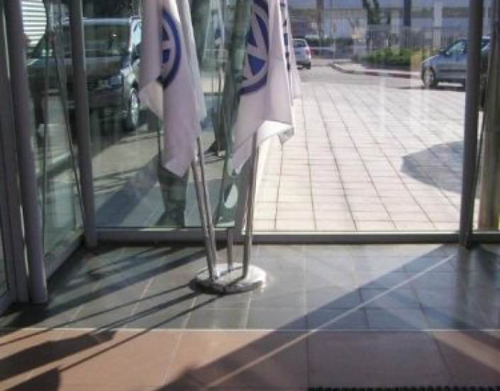 שושנת דגלים