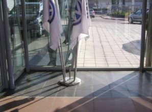 שושנת דגלים